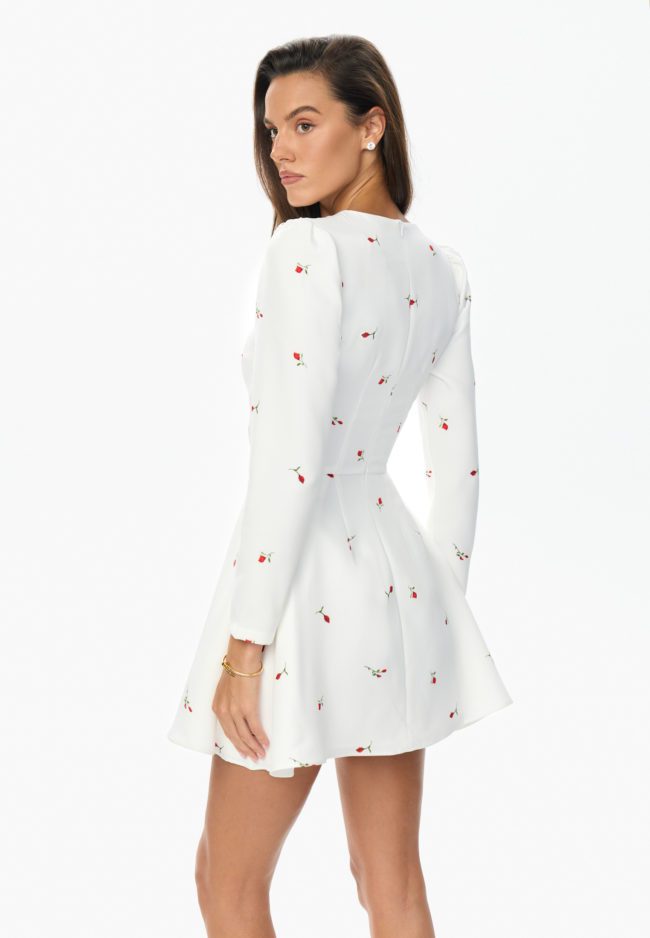 Long sleeve silhouette mini dress