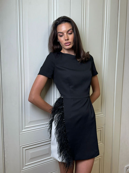 Short sleeve mini dress with feathers