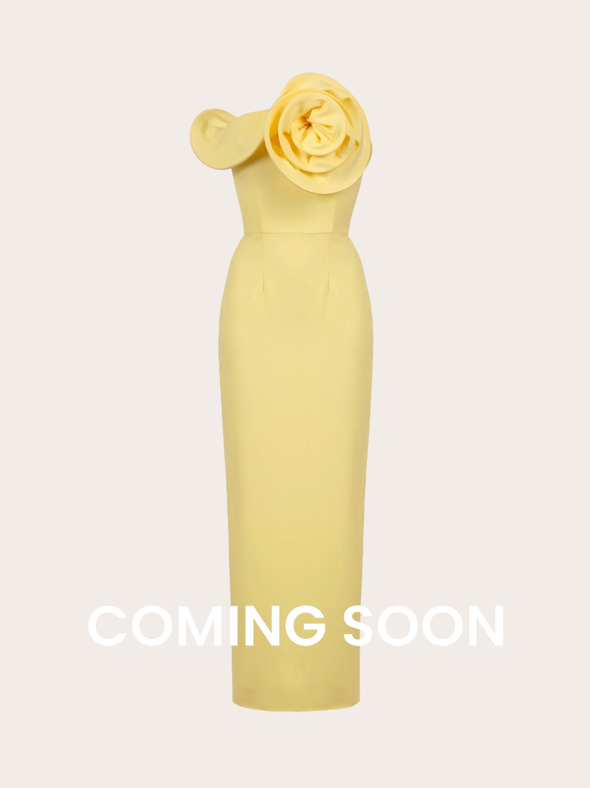 Maxi bustier dress with decorative detail on the bodice