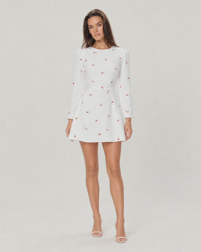 Long sleeve silhouette mini dress — Red Print — video